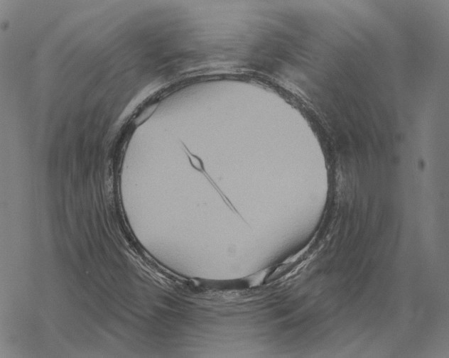 X0000067471450200605051635