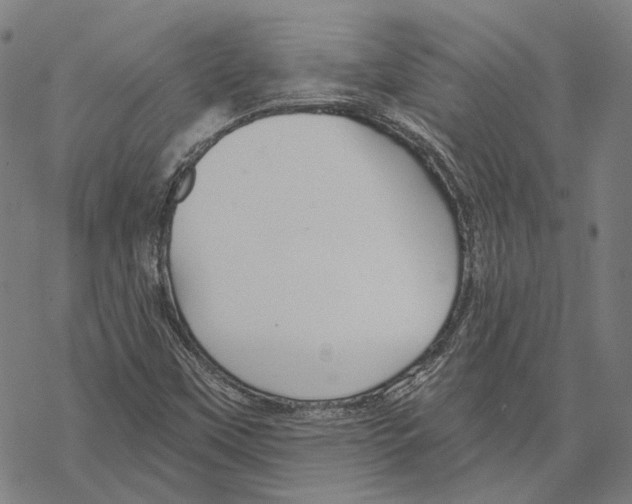 X0000067471451200605051635