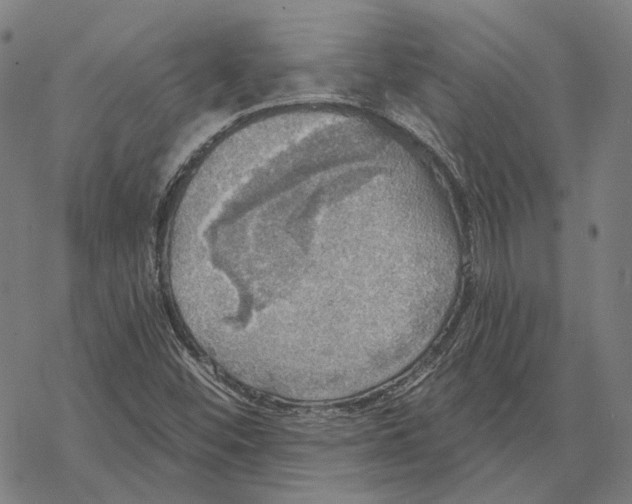 X0000067471452200605051635