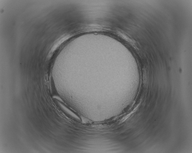 X0000067471453200605051635