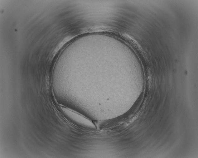 X0000067471457200605051635