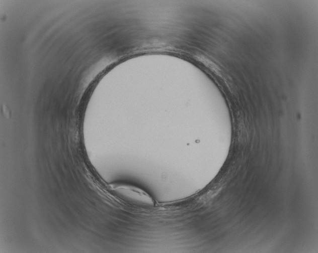 X0000067471458200605051635