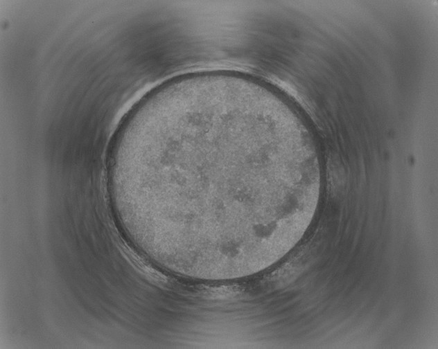 X0000067471460200605051635