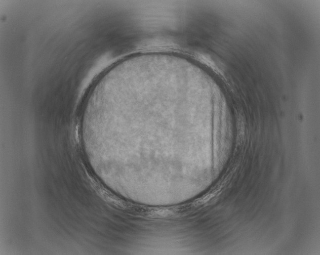 X0000067471462200605051635