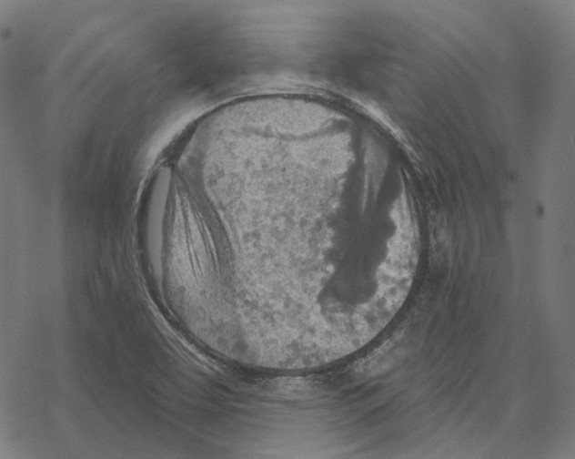 X0000067471463200605051635