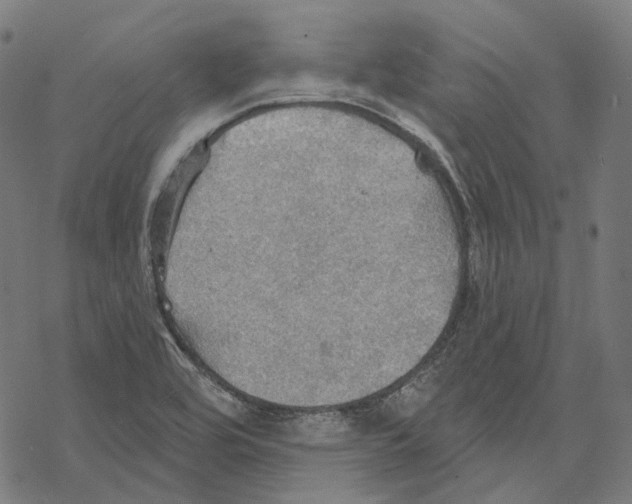 X0000067471464200605051635