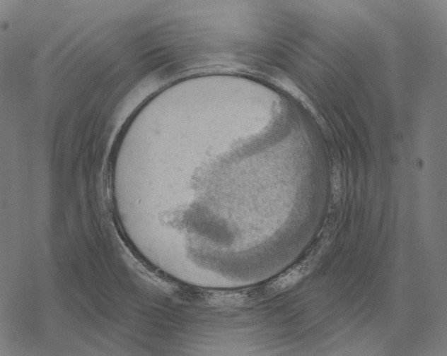 X0000067471466200605051635