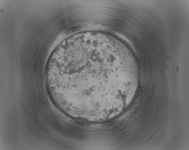 X0000067471467200605051635