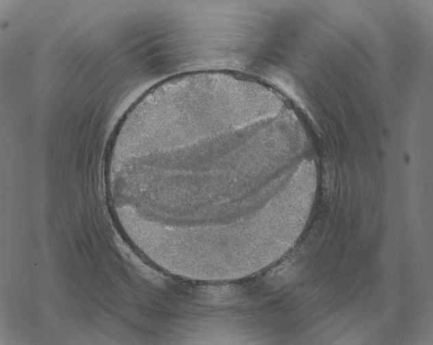 X0000067471468200605051635