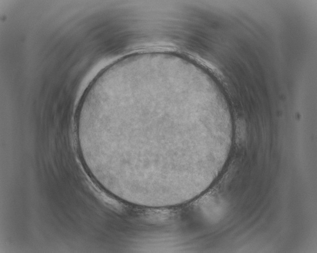 X0000067471470200605051635