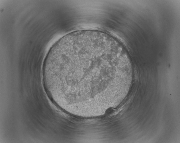 X0000067471471200605051635