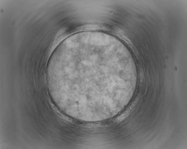 X0000067471473200605051634