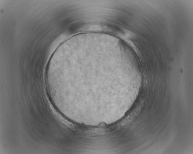 X0000067471475200605051634