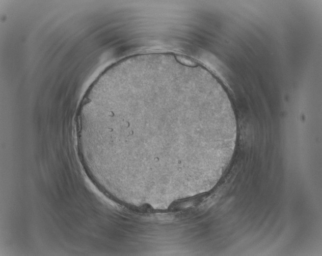 X0000067471476200605051634