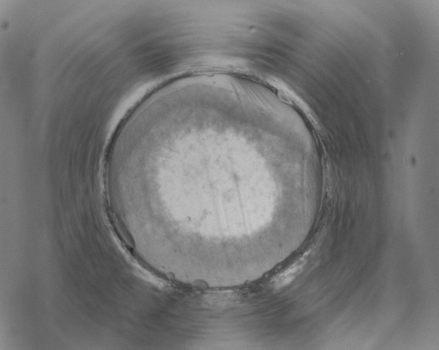 X0000067471477200605051634