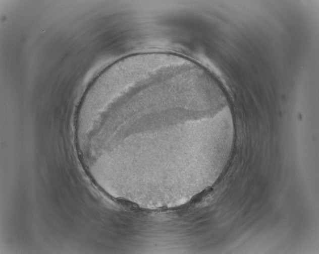 X0000067471480200605051634