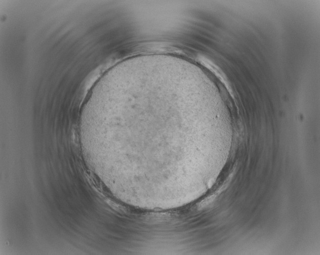 X0000067471481200605051634