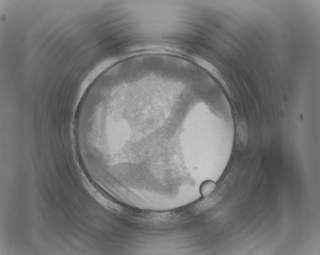 X0000067471482200605051634