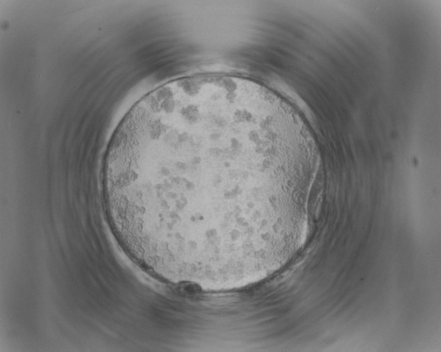 X0000067471483200605051634