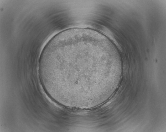 X0000067471484200605051634