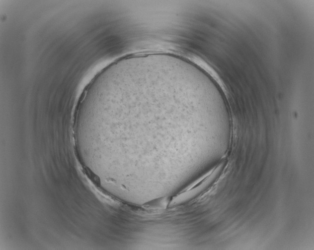 X0000067471485200605051634