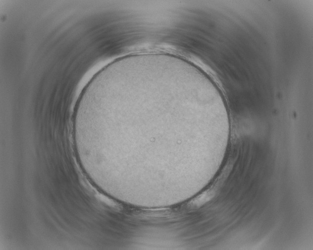 X0000067471486200605051634