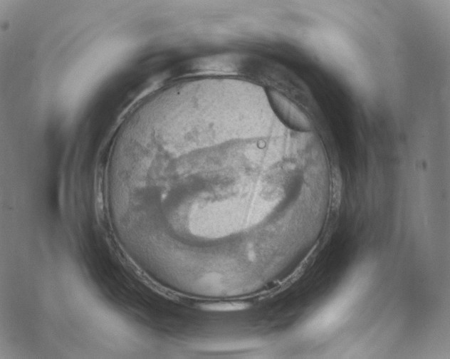 X0000067471487200605051634