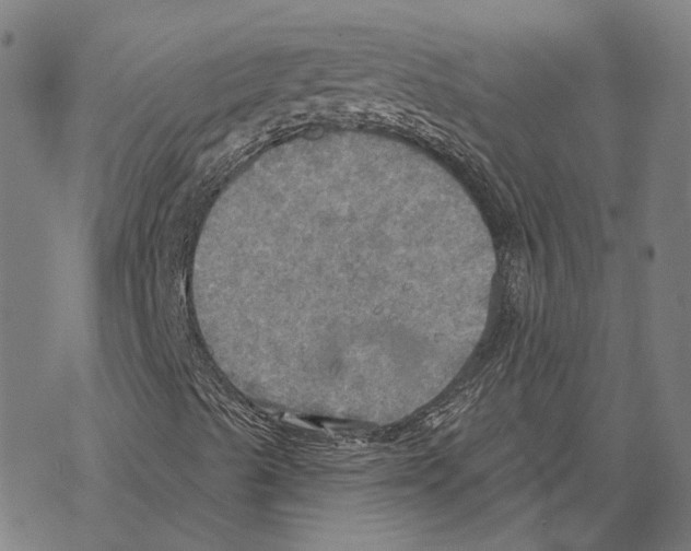 X0000067471489200605051633