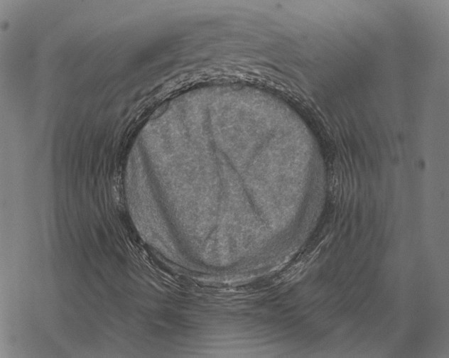 X0000067471490200605051633