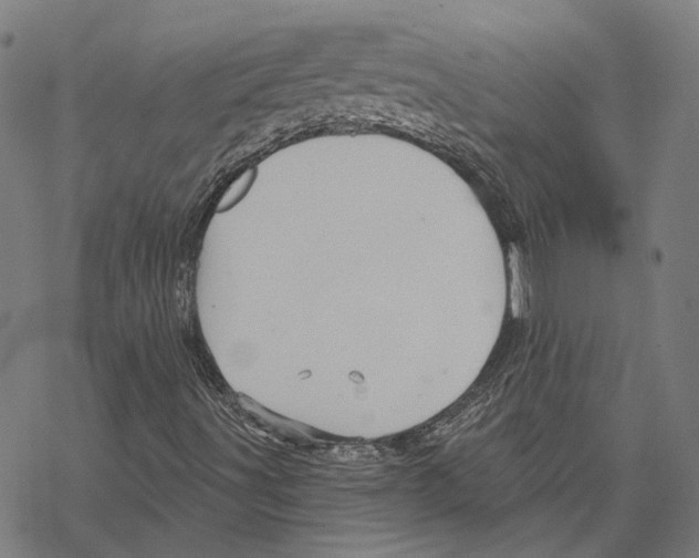 X0000067471491200605051633