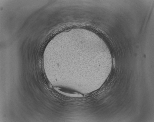 X0000067471492200605051634