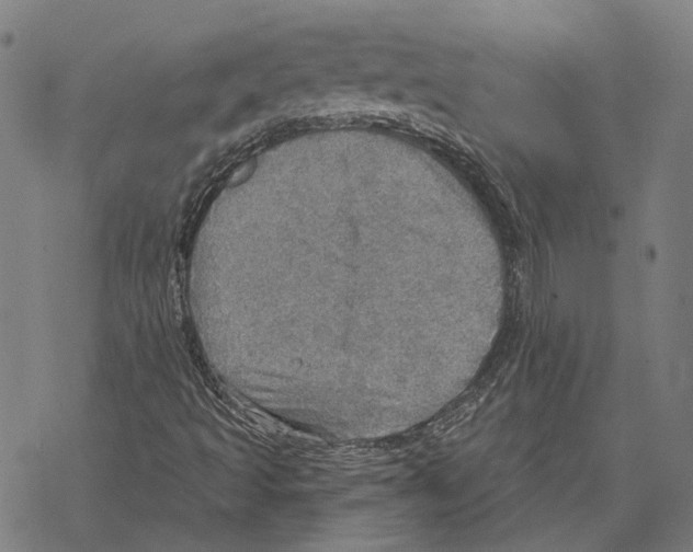 X0000067471493200605051634