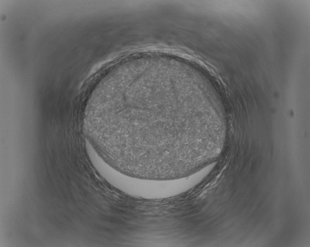 X0000067471494200605051634