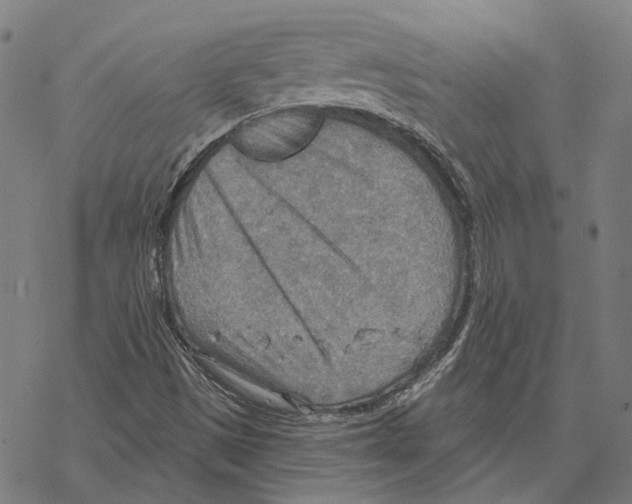 X0000067471497200605051634