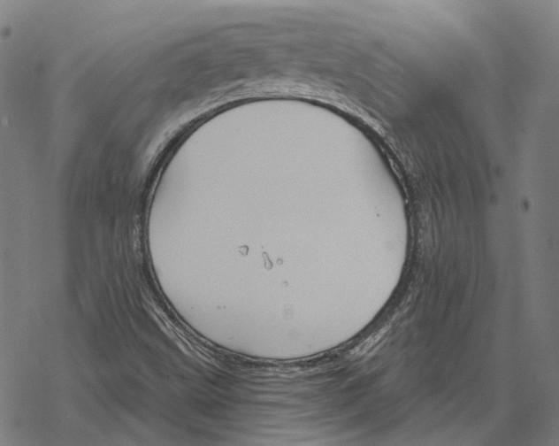 X0000067471499200605051634