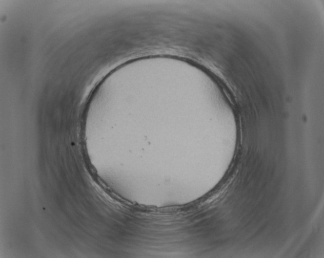 X0000067471500200605051634