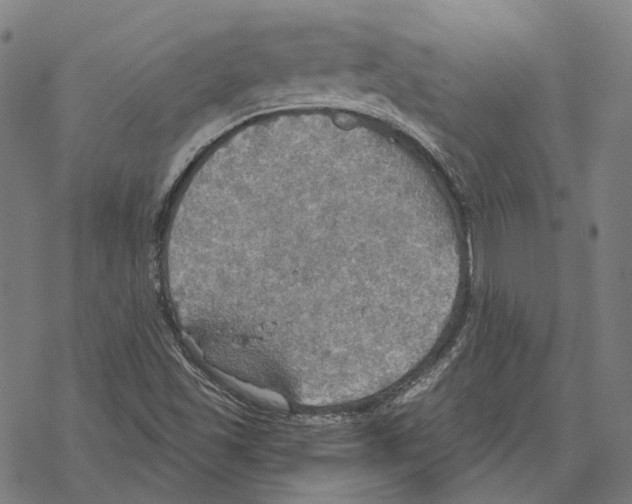 X0000067471501200605051634