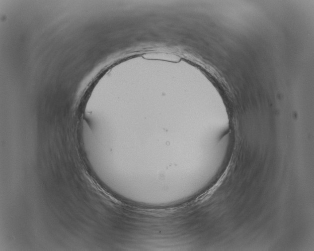 X0000067471502200605051634