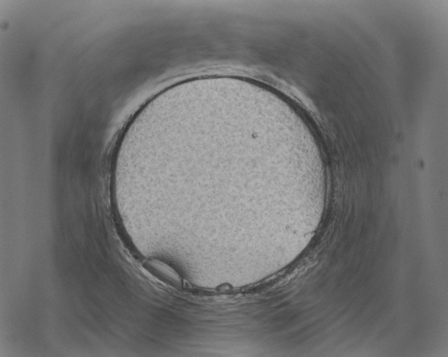 X0000067471504200605051634