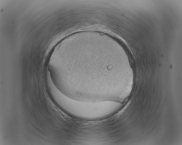 X0000067471506200605051634