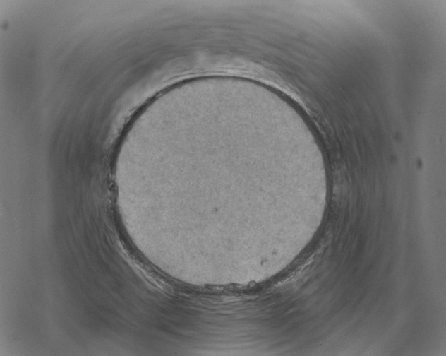 X0000067471507200605051634