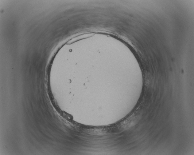 X0000067471508200605051634