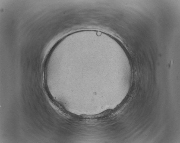 X0000067471511200605051634