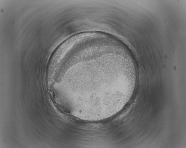 X0000067471513200605051634