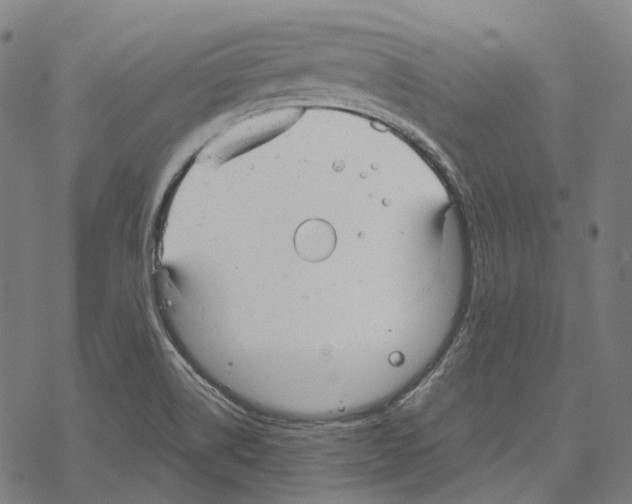 X0000067471514200605051634