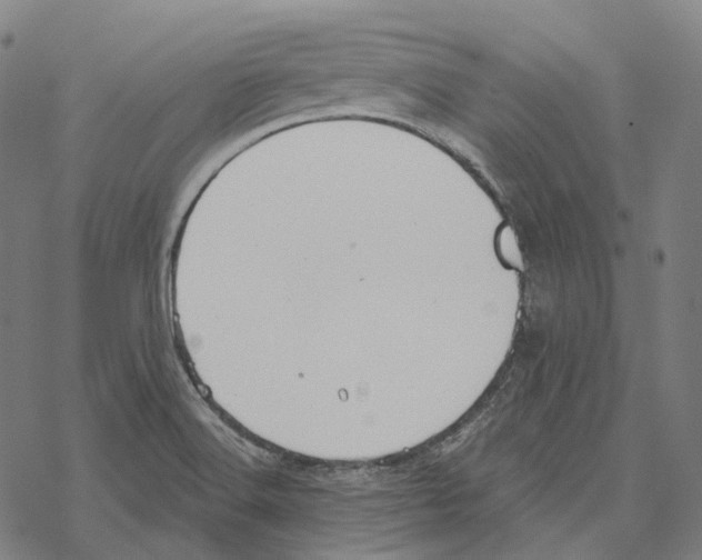 X0000067471516200605051634