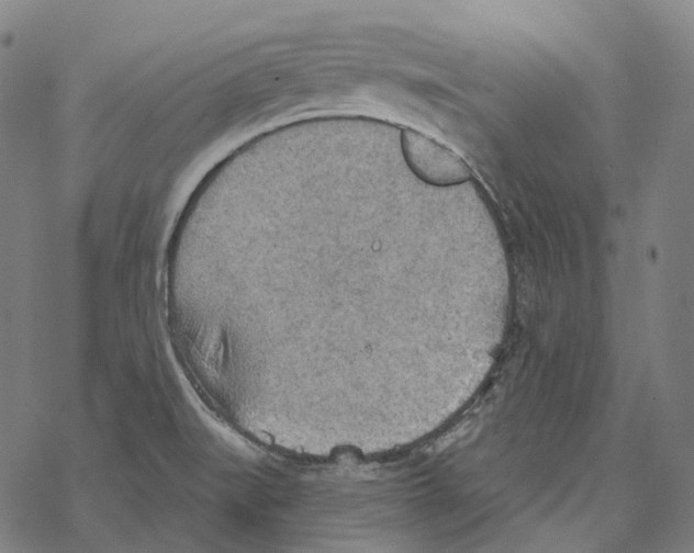 X0000067471519200605051634