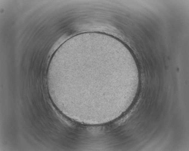 X0000067471521200605051634