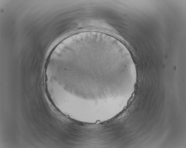 X0000067471522200605051634