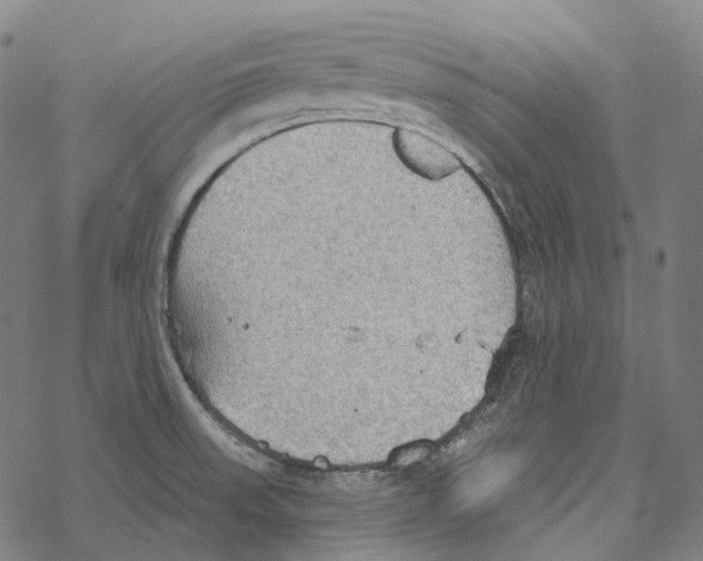 X0000067471523200605051634